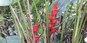 Jardín Botánico Marsella  